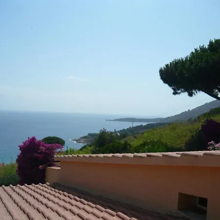 Mediterranea - Cavoli San Piero in Campo (Isola d'Elba)