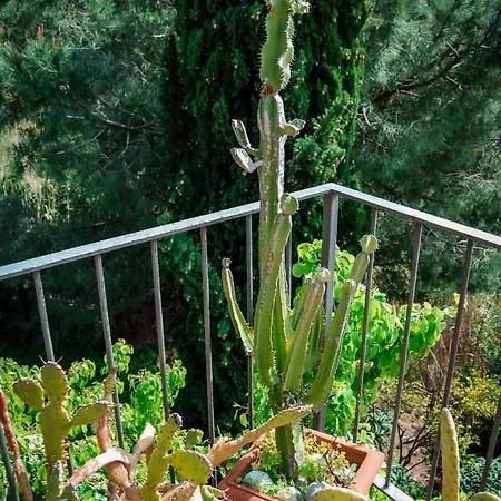 بيت للعطل Mediterranea - Cavoli *
